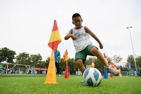 记者：吉乌今天飞往桑德兰，未来24小时内接受体检